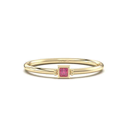 10K Gold Personalized 1 Stone Birthstone Family Ring - 2S198FAM1