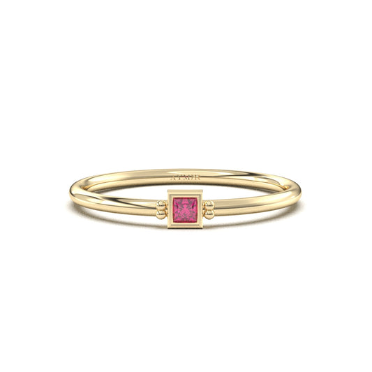 14K Gold Personalized 1 Stone Birthstone Family Ring - 2S198FAM1